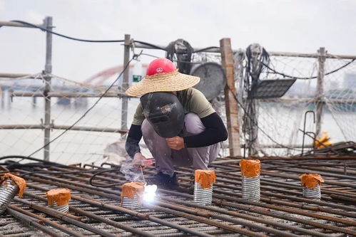 鹅城大桥工程施工取得新突破 主桥墩即将完工